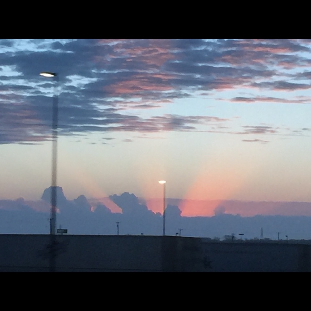 Meet your Posher, Terri